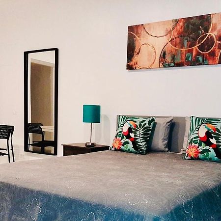ハランデール・ビーチHallandale Studio With Poolアパートメント エクステリア 写真